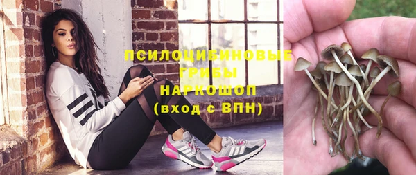 гидропоника Беломорск